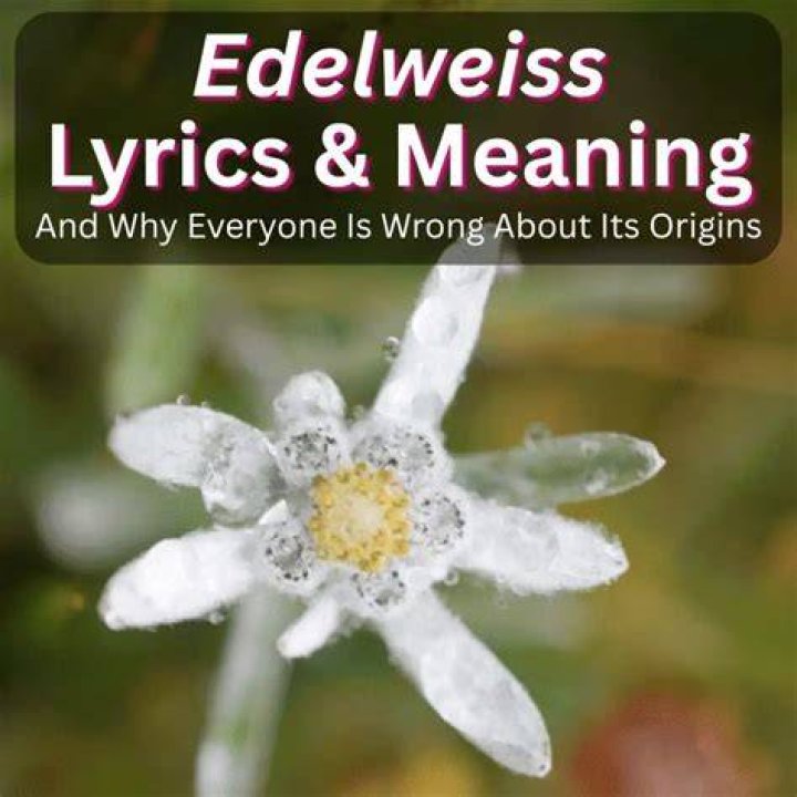 A Place In The Sun: Unveiling The Song Lyrics And Their Meaning