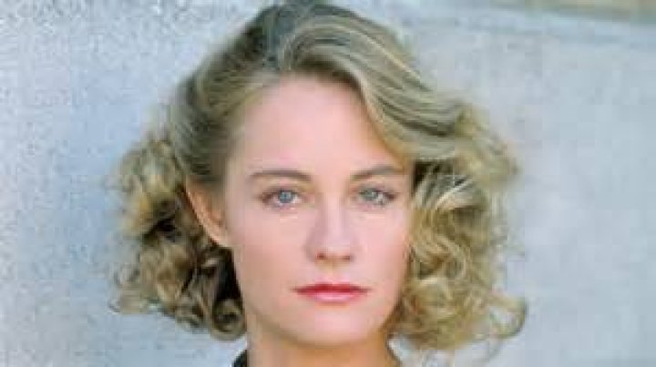 Exploring The Life And Career Of Cybil Shepherd