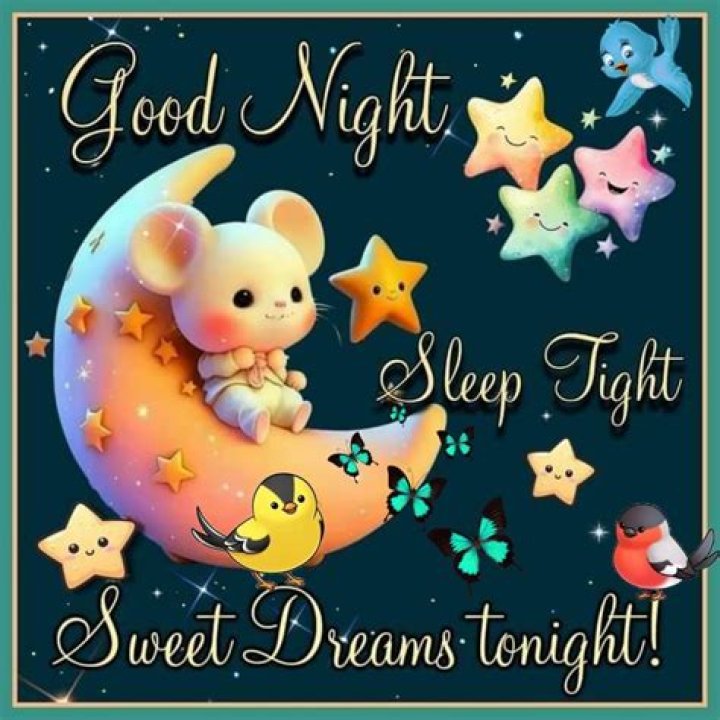 Sweet Dreams: Enchanting Good Night Pictures