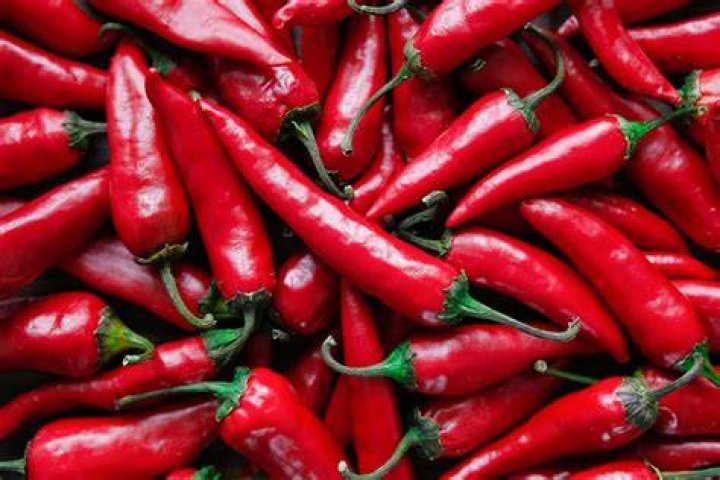 Unveiling The Love Life Of The Red Hot Chili Peppers Singer